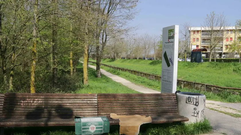 Foto Agenzia Candussi/ Chiarin/ Mestre/ Sopralluogo del quartiere Pertini e dell'adiacente Bosco dell'Osellino