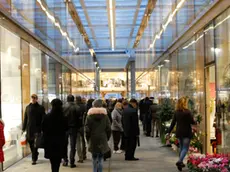 Agenzia Candussi, giornalista Artico. Temporary Shop in galleria Barcella Mestre