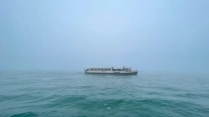 Nebbia in laguna