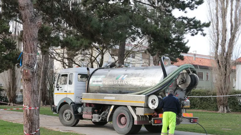 GIORNALISTA: Morsego .AGENZIA FOTO: Candussi.LUOGO: via Scattolin, Marghera.DESCRIZIONE: infestazione di processionaria nel giardino della scuola elementare Capuozzo