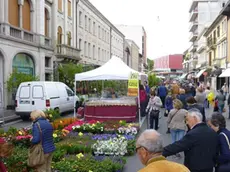 COLUCCI - DINO TOMMASELLA - SAN DONA' DI PIAVE - FESTA DEI FIORI