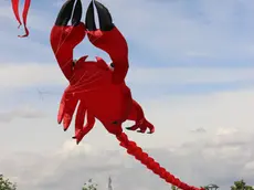 "Festa del vento" giornata con gli aquiloni al Parco San Giuliano