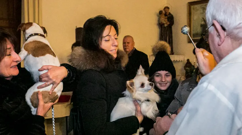 Foto Agenzia Candussi / FERRAZZA/ Mestre via TRIESTINA / TESSERA MESSA BENEDIZIONE ANIMALI.