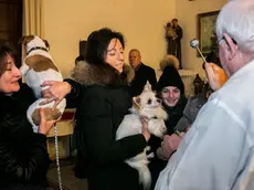 Foto Agenzia Candussi / FERRAZZA/ Mestre via TRIESTINA / TESSERA MESSA BENEDIZIONE ANIMALI.