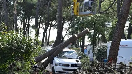 CARRAI - DINO TOMMASELLA - CAVALLINO - CAMPING MEDITERRANEO - I LAVORI DI SISTEMAZIONE E TRASPORTO DEGLI ALBERI TAGLIATI