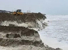 COLUCCI - DINO TOMMASELLA - JESOLO - MAREGGIATA IN ZONA PINETA