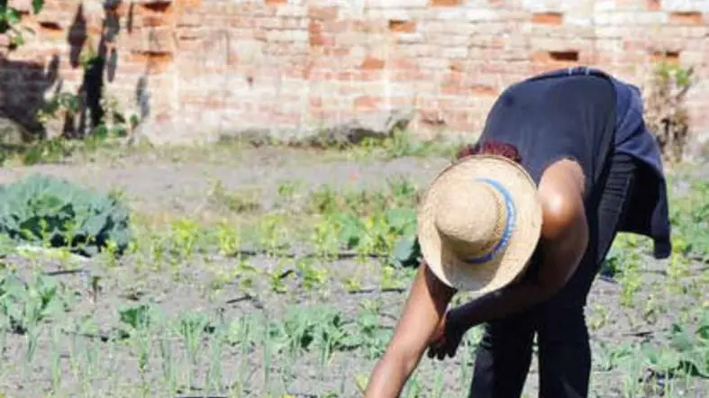 orto biologico carcere femminile giudecca