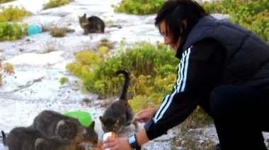 Deborah Scarpa con i suoi gatti a Pellestrina