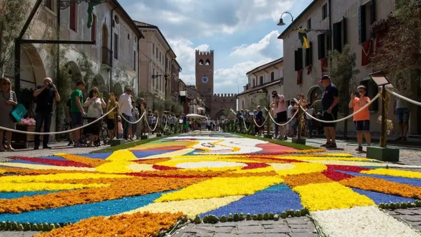 Il tappeto floreale su cui domenica sera cis arà la processione del Corpus Domini