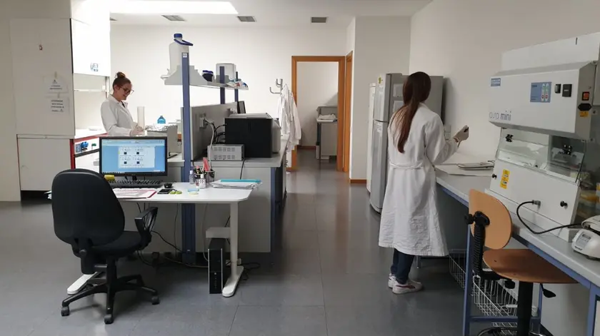 Il laboratorio diagnostico Experteam fondato dai biologi Angelo de Bortoli e Federica Schiavon