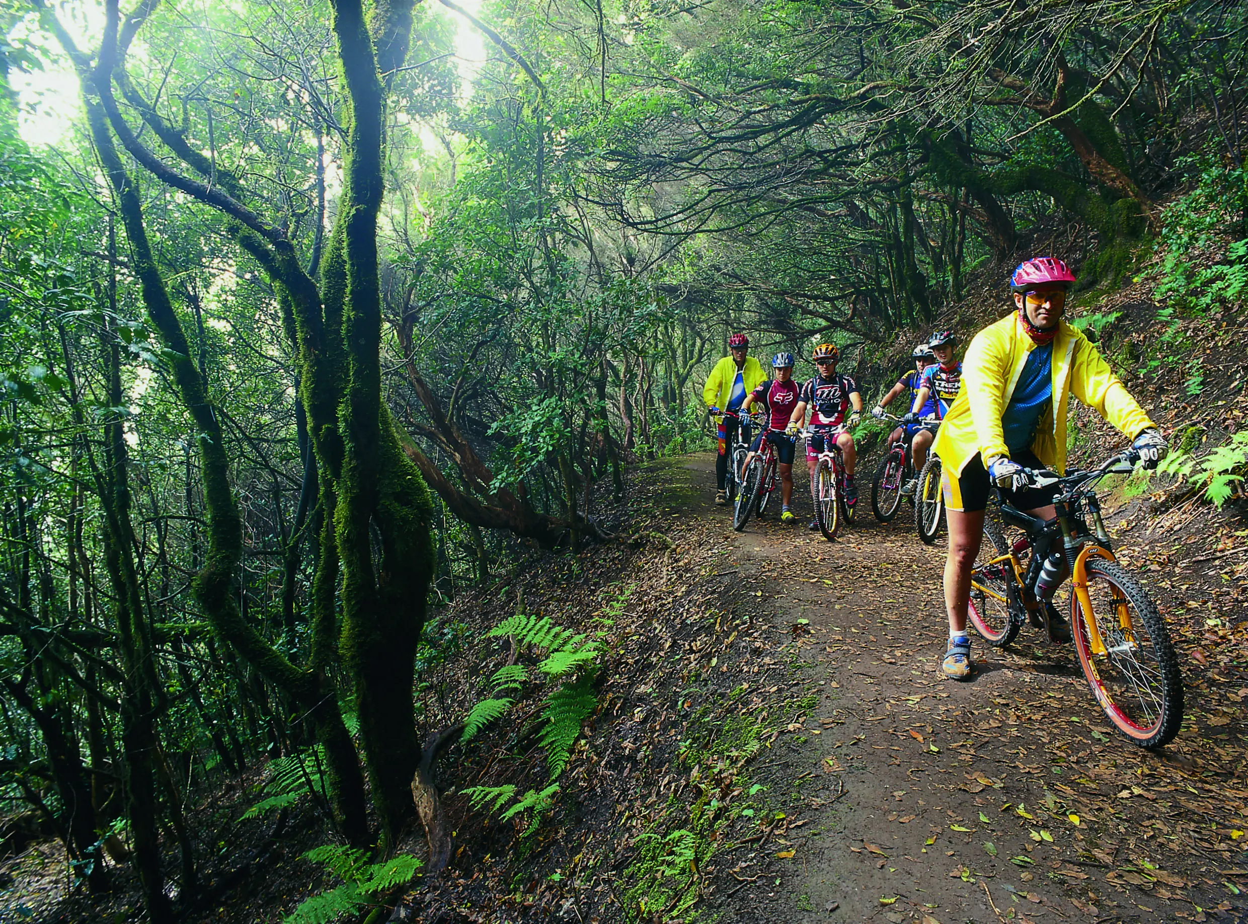 Tenerife - Parque Rural de Anaga - Ciclismo ©Ente Spagnolo del Turismo-Turespaña