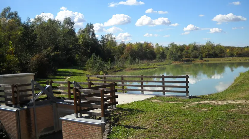 La zona umida del Bosco di Franca nel polmone verde di Mestre