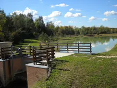 La zona umida del Bosco di Franca nel polmone verde di Mestre