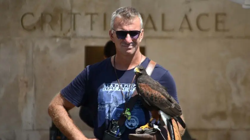 Interpress/M.Tagliapietra Venezia 05.08.2017.- Un falco per allontanare piccioni e gabbiani dai clienti in terrazza del Gritti Palace.