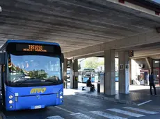 DINELLO - DINO TOMMASELLA - SAN DONA' DI PIAVE - IL BUS ATVO DELLA LINEA PER TREVISO