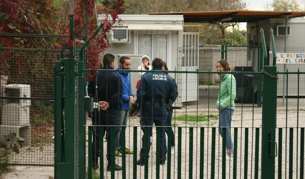 Foto Agenzia Candussi/Scattolin/San Giuliano, Mestre / Spostamento cani dal canile di Mestre all' Enpa di Mira