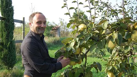Paolo Andrich