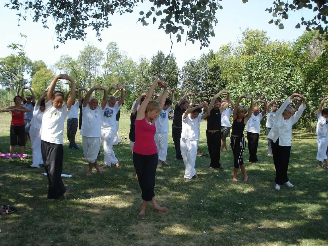 Una lezione di Tai chi