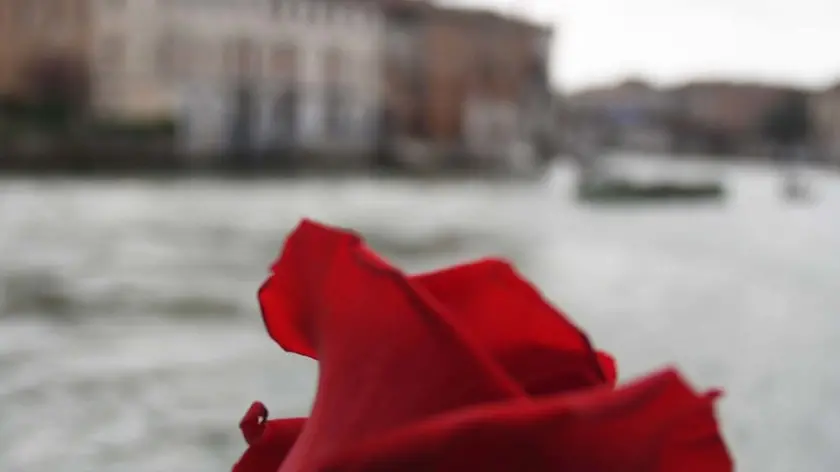 Interpress\M.Tagliapietra Venezia 25.04.2019.- Anniversario della Liberazione d?Italia. Bocolo