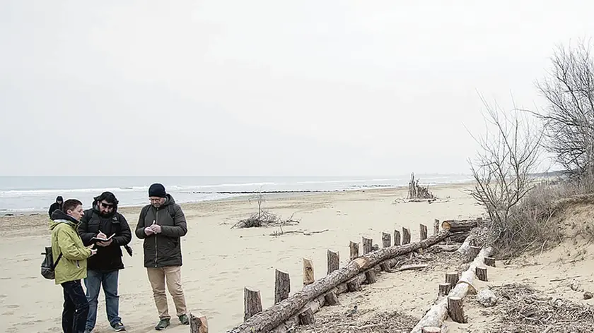 Le dune contro le mareggiate sulla spiaggia della Brussa a Caorle