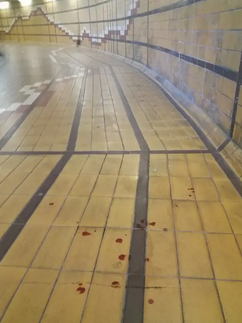 Agenzia Candussi, giornalista Mion. Tracce di sangue rilevate al sottopasso stazione di Mestre via Rizzardi