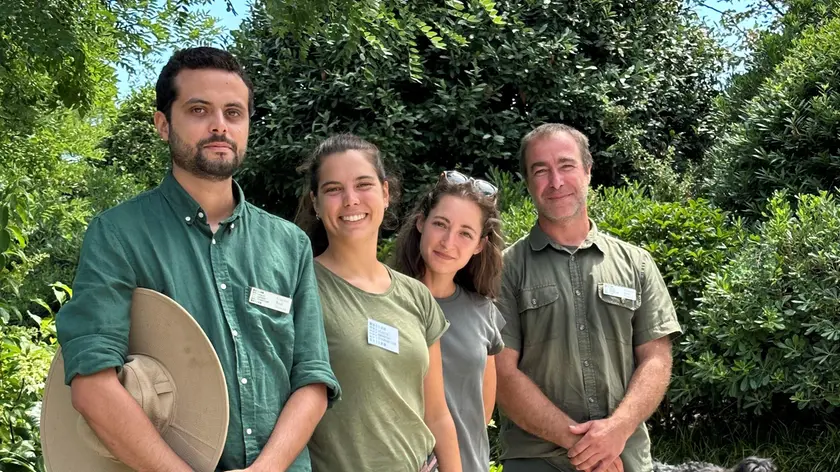 I quattro giardinieri tra le loro piante nei Giardini Reali di Venezia