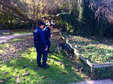 I vigili urbani in azione con Kuma