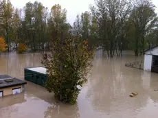 FGAVAGNIN NOVENTA DI PIAVE - ESONDAZIONE DEL PIAVE NELLA GOLENA