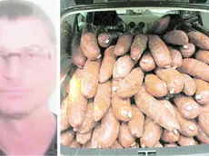 Attilio Vittorio Violi e un carico di cocaina nascosta tra la manioca proveniente dal Sud America