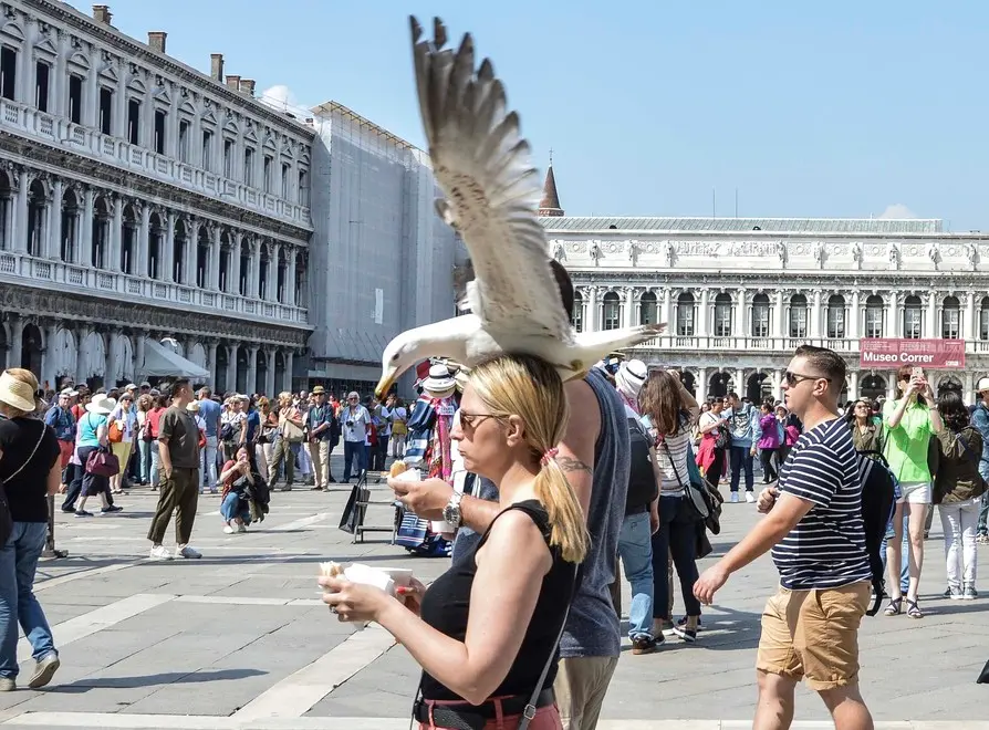 Foto di Paolo Seno