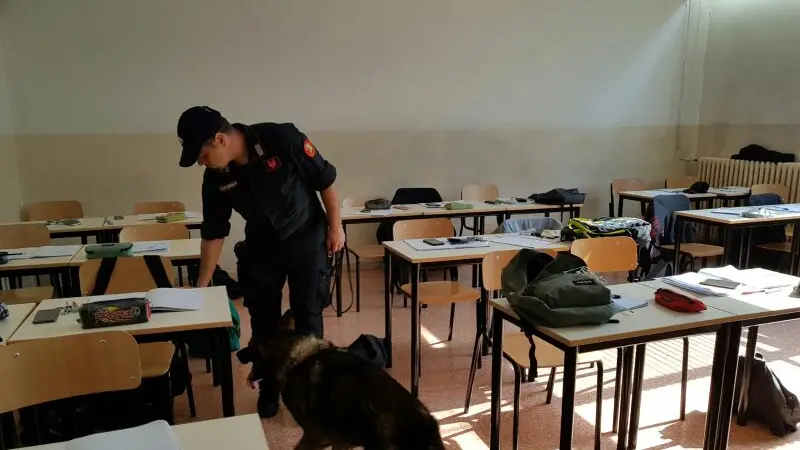 Controlli con i cani antidroga in classe, a Mirano