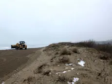 COLUCCI - DINO TOMMASELLA - JESOLO - LAVORI DI RIAFFIORAMENTO PANNELLI PER DIFESA SPIAGGIA