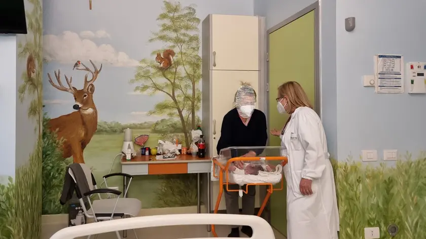 La stanza in Pediatria a Mestre trasformata in un bosco