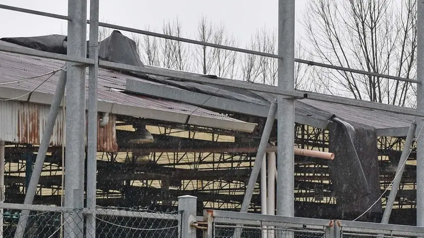 COLUCCI - DINO TOMMASELLA - SAN DONA' DI P . - DANNI DA VENTO AI CAPANNONI FIERA IN VIA PRALONGO