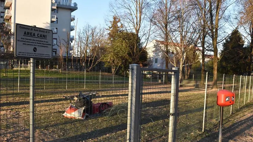 DE POLO - TOMMASELLA - S.DONA' - AREA CANI AL PARCO DELLE ROSE