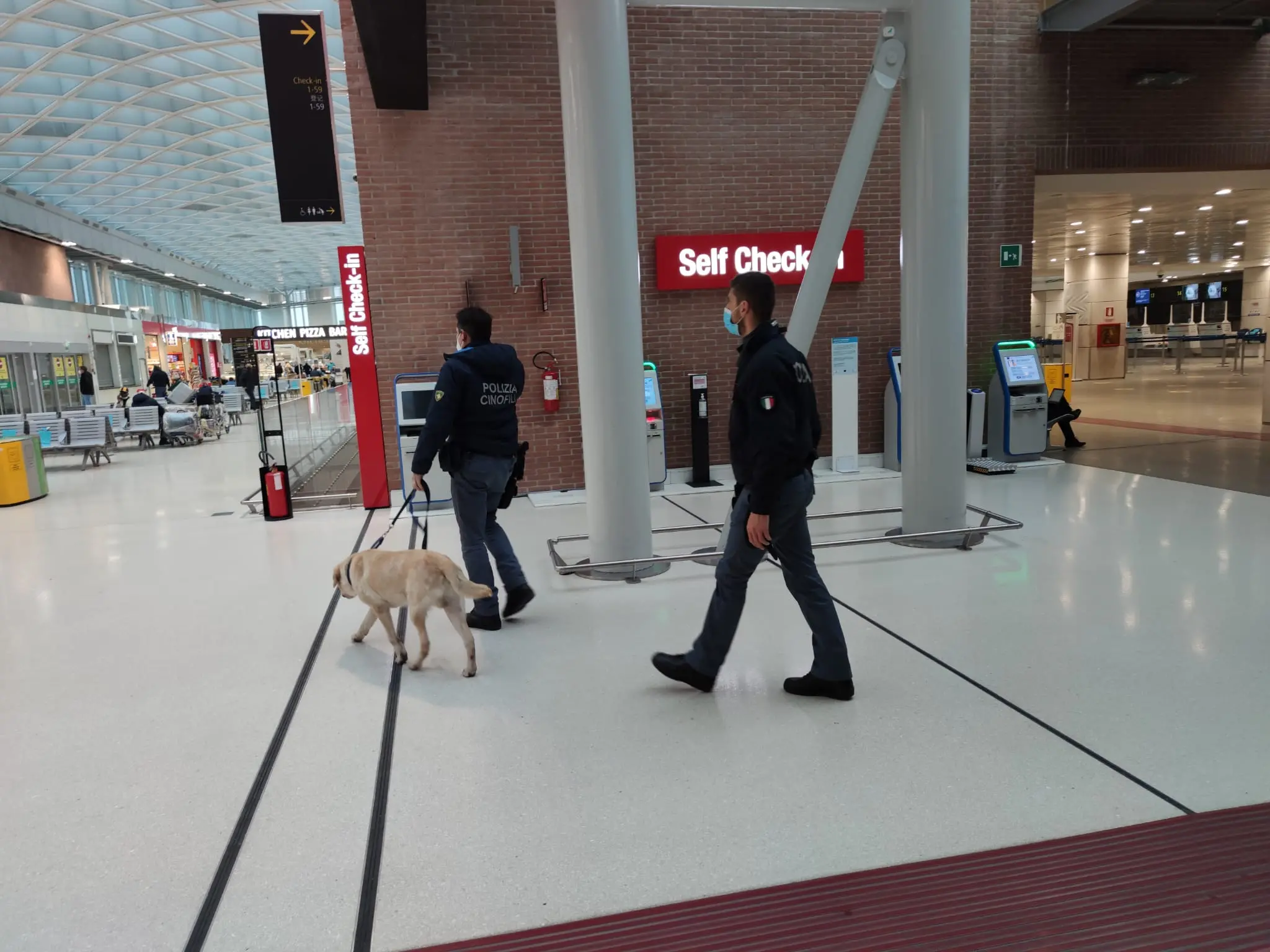 Artificieri con uno dei cani anti esplosivo durante la bonifica all'aeroporto internazionale Marco Polo di Venezia Tessera (foto Gilardi / Pòrcile)