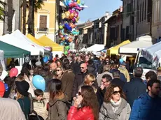 COLUCCI . DINO TOMMASELLA - PORTOGRUARO - VEDUTE DELLA FIERA - RAGAZZI CORSO MODA DELL'IPSIA - BARCHE SUL LEMENE - PEZZE PAZZE - E SBANDIETATORI