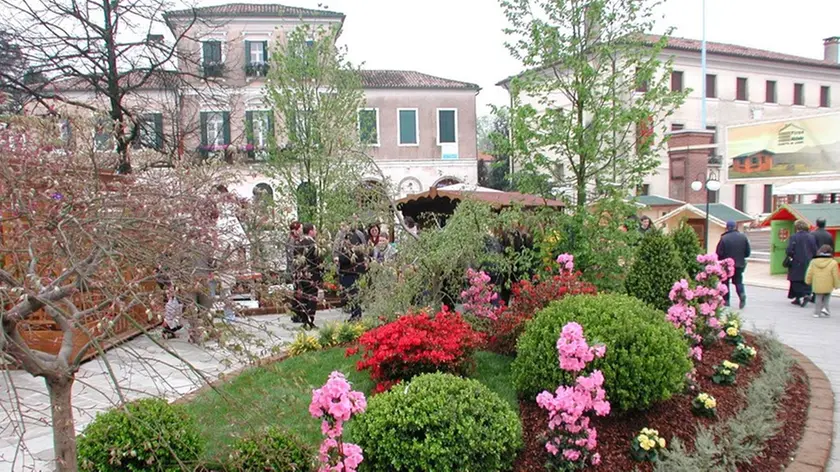 Noale-Venezia: la manifestazione "Noale In Fiore". 08/04/01 © Light Image studio Morsego