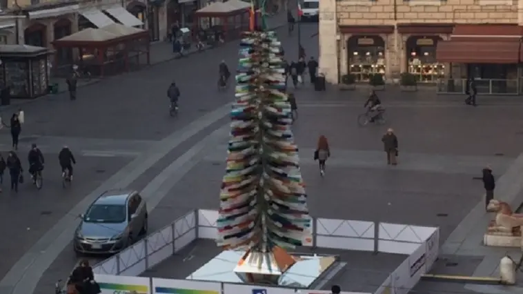 L'albero in piazza a Ferrara