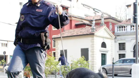 Unità cinofila della polizia controlla la zona del piazzale Donatori di Sangue, Mestre