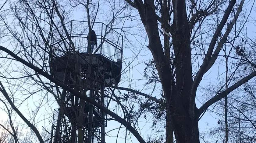 Ragazzi sulla torretta del Bosco dell'Osellino