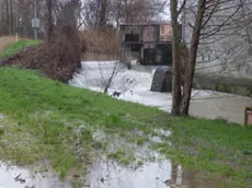 © foto Gavagnin 2014 riproduzione vietata ACQUA ALTA GRUARO