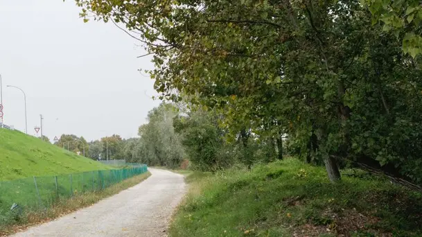 Foto Agenzia Candussi/ Mion/ Dese, via Altinia/ Veduta della zona dove è stata uccisa una volpe vicino al maneggio di Praello