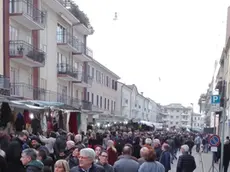 COLUCCI - DINO TOMMASELLA - SAN DONA' DI P. - MERCATO FORTE DEI MARMI IN CENTRO