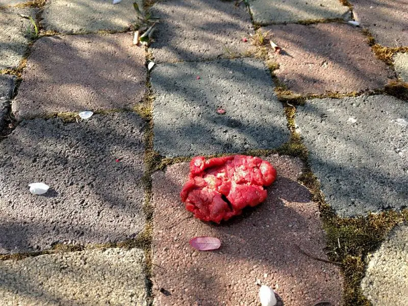 Uno dei bocconi di carne avvelenata trovati nel giardino della proprietaria