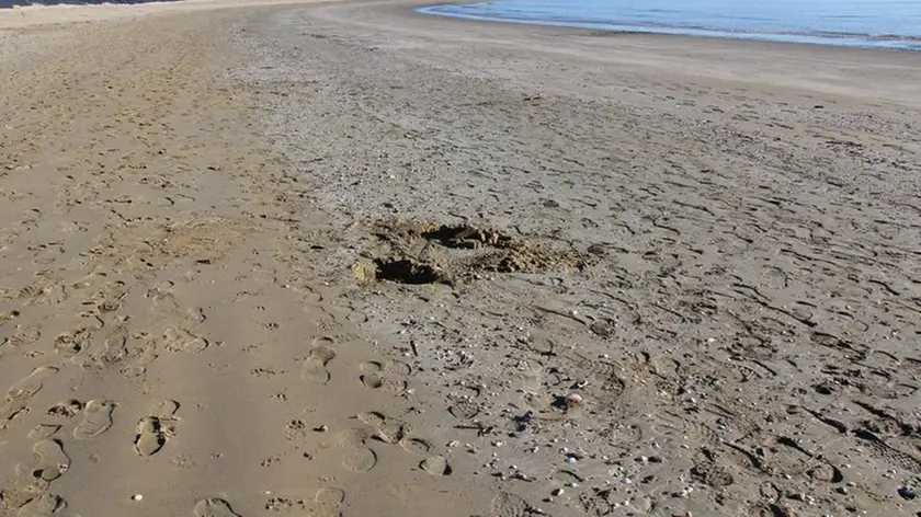 Spiaggia a Cavallino