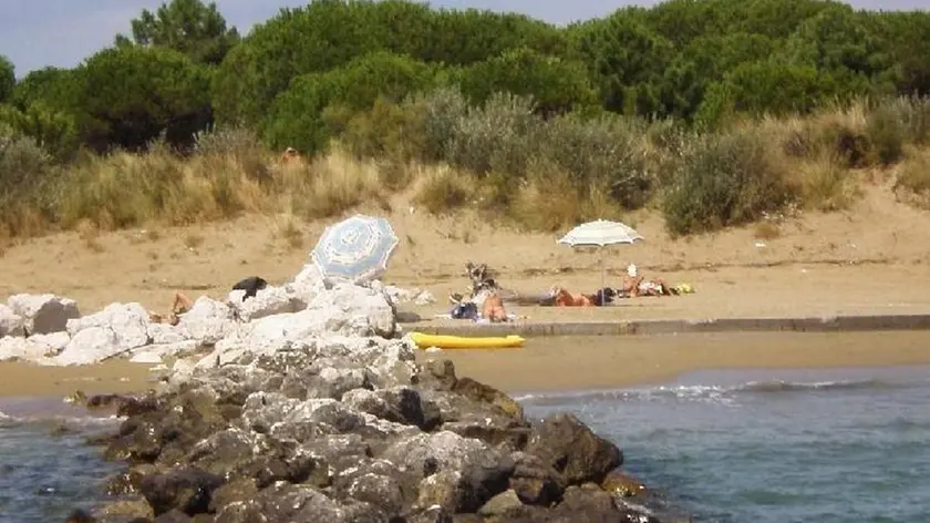 La Laguna del Mort tra Jesolo ed Eraclea