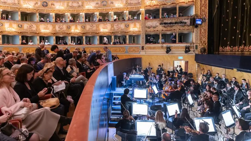 Gli orchestrali del Teatro La Fenice durante un concerto