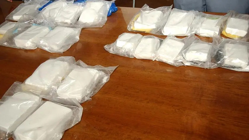 Cocaina dal Sudamerica: 20 arresti, sequestri e perquisizioni anche a Treviso