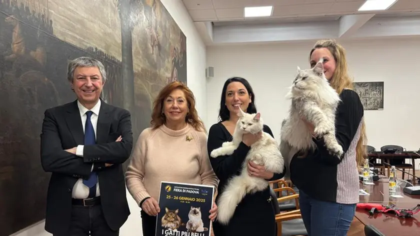 Da sinistra Nicola Rossi, Costanza Daragiati, Maria Sole Farinelli e Angelica Recchia con due Maine Coon